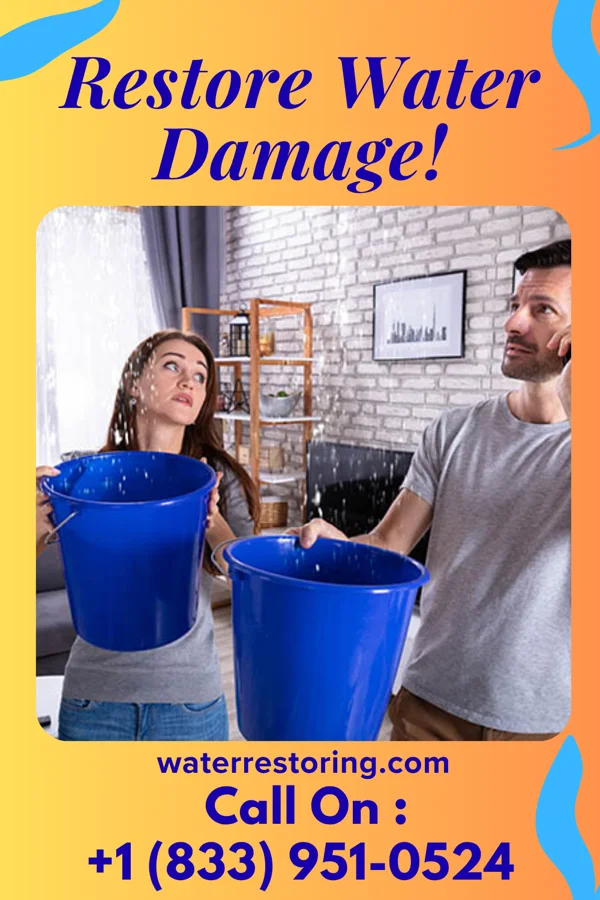 water restoration Eagle Water Damage Authority Stewartville