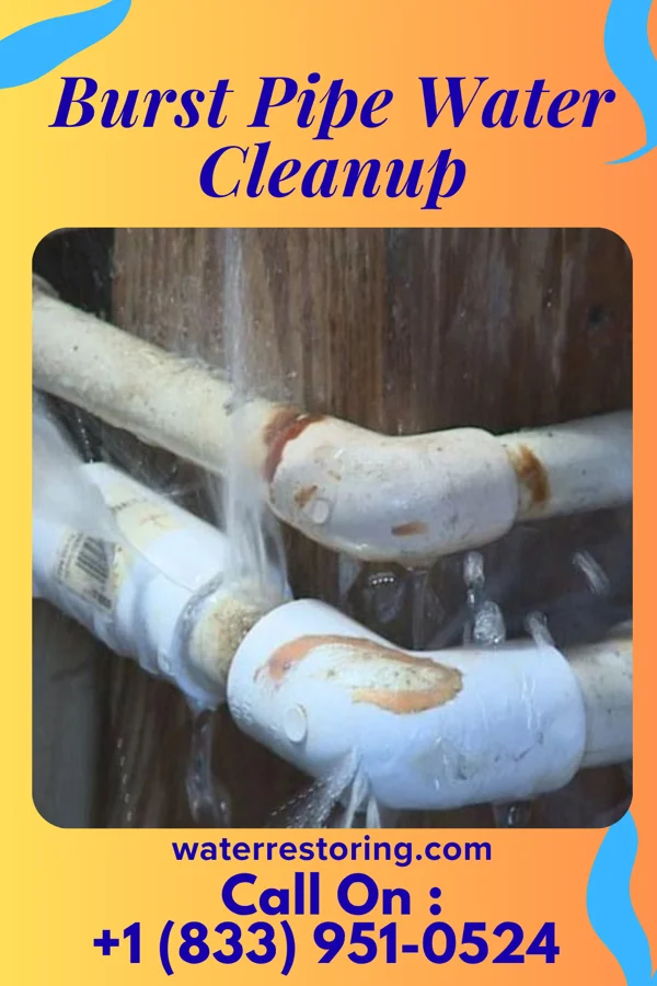 Burst Pipe Water Cleanup in Stewartville, MN
