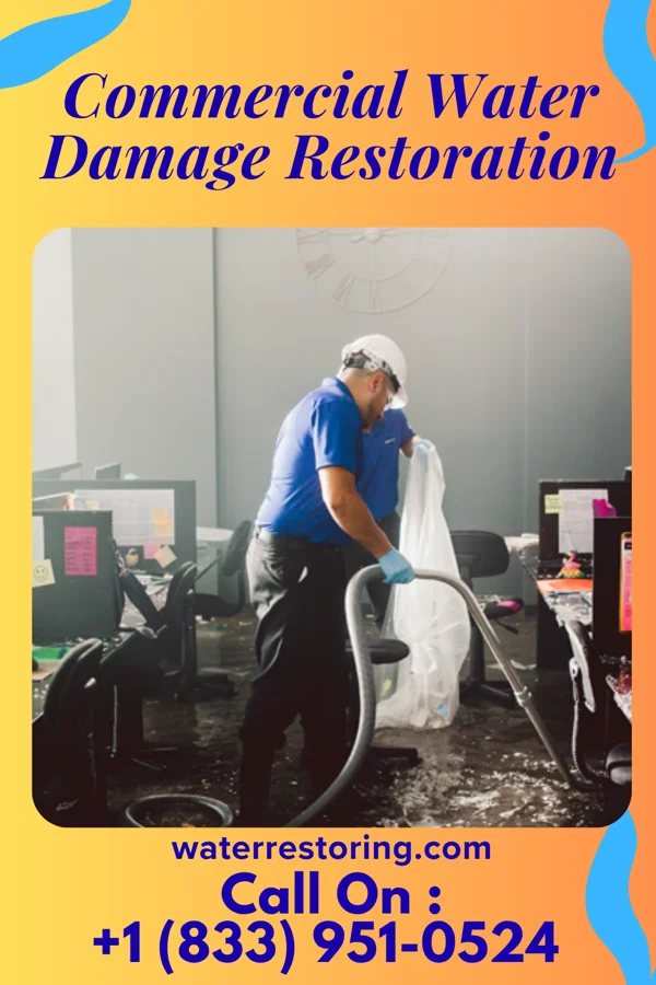 Commercial Water Damage Restoration in Stewartville, MN