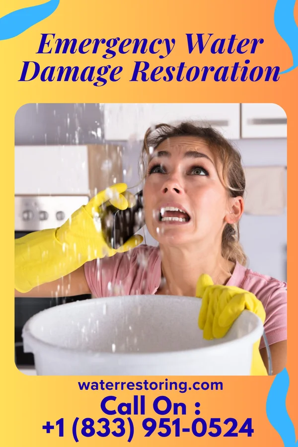 Emergency Water Damage Restoration in Stewartville, MN