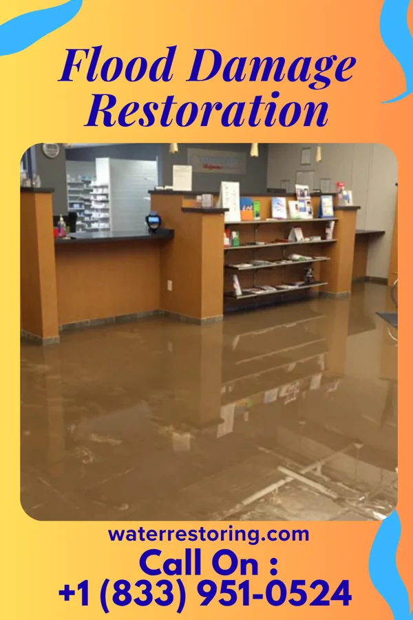 Flood Damage Restoration in Stewartville, MN