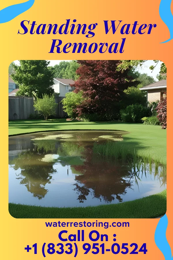 Standing Water Removal in Stewartville, MN